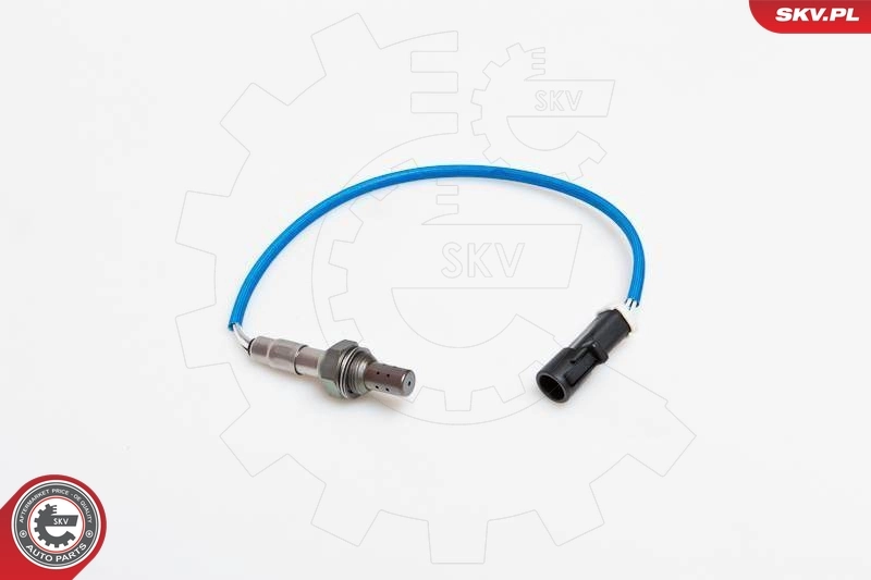 Oxygen Sensor